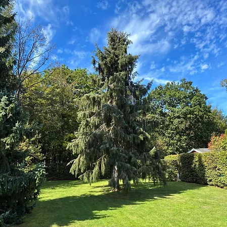 Am Wald Hébergement de vacances *